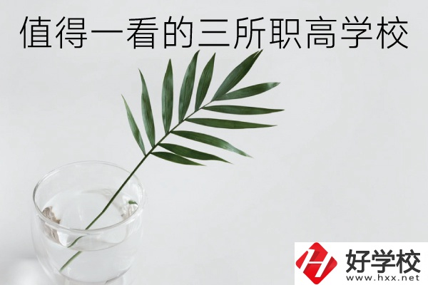 湖南有什么好的職高學(xué)校？這3所學(xué)校值得一看！