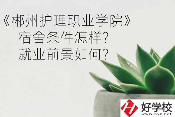 郴州護理職業(yè)學院宿舍條件怎樣？就業(yè)前景如何？