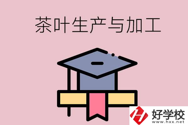 湖南哪些技校開設(shè)了茶葉生產(chǎn)與加工專業(yè)？