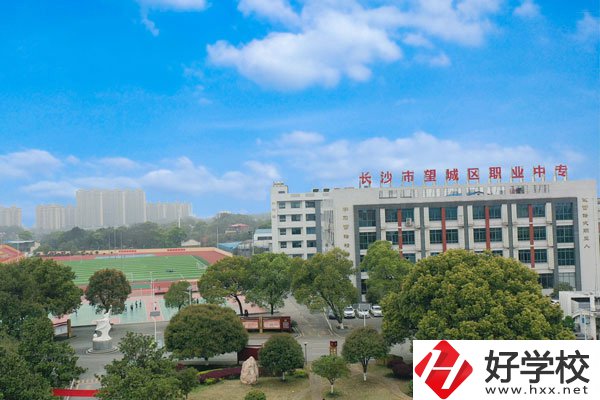 長(zhǎng)沙市望城區(qū)職業(yè)中等專業(yè)學(xué)校全景