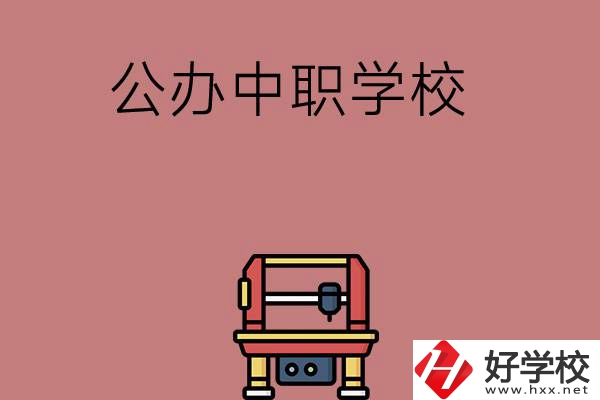 長沙可以學計算機應用專業(yè)的公辦中職學校有哪些？