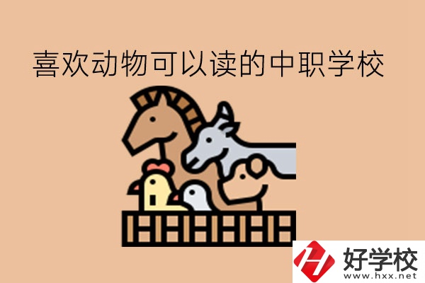 喜歡動物的學(xué)生，可以讀這些中職學(xué)校!