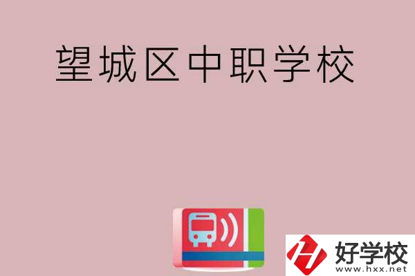 長(zhǎng)沙望城區(qū)有哪些中職學(xué)校？