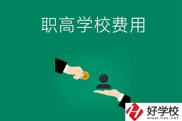 上懷化的公立職高學(xué)校要多少費(fèi)用？