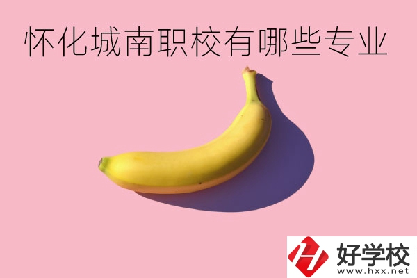 懷化城南職業(yè)學校有哪些專業(yè)？學校好不好？