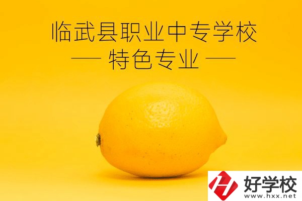 臨武縣職業(yè)中專學(xué)校好嗎？有哪些特色專業(yè)？