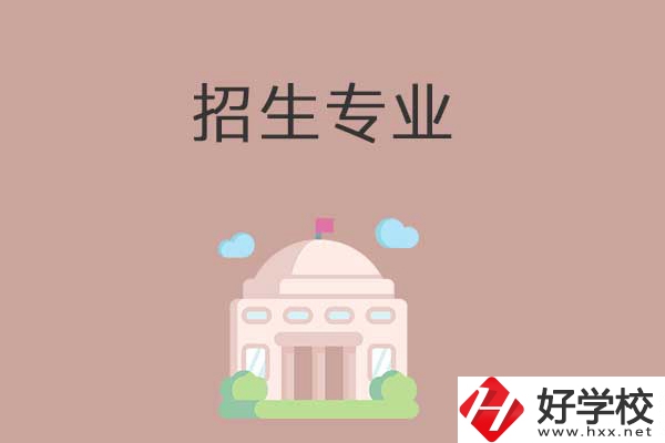 益陽有哪些高職院校設(shè)立了中職部？招生專業(yè)有哪些？