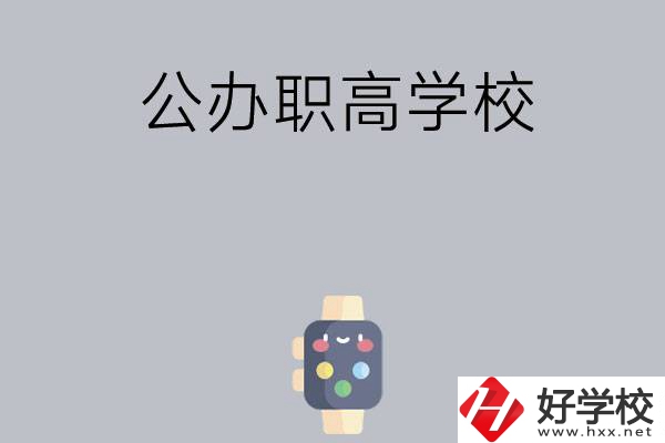 長(zhǎng)沙哪些公辦職高學(xué)校比較有特色？