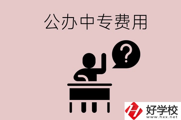 長(zhǎng)沙中專(zhuān)哪所學(xué)校費(fèi)用少一點(diǎn)？首選這兩所公辦學(xué)校！