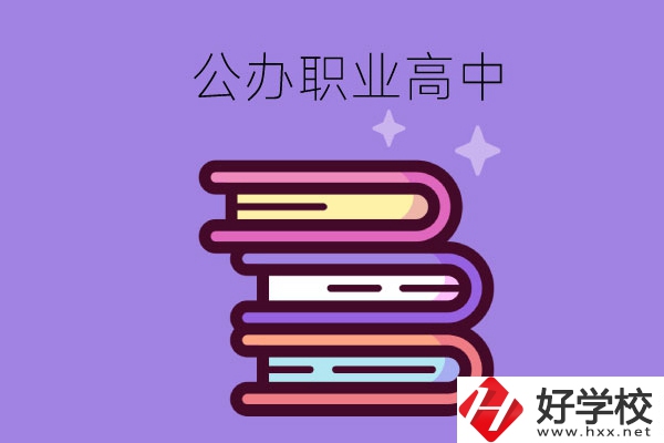 長(zhǎng)沙市有哪些公辦職業(yè)高中學(xué)校？