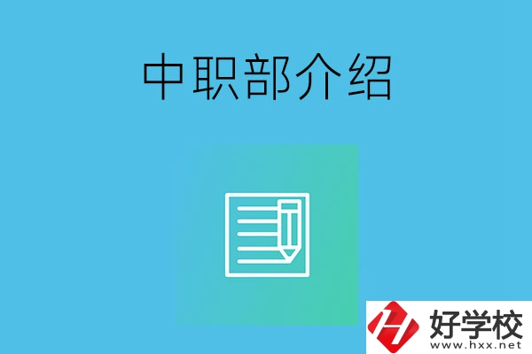 湘潭院校中職部介紹，這幾所學(xué)校你知道嗎？