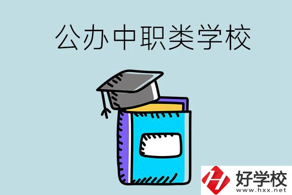 湘西的公辦中職類學(xué)校一共有多少所？