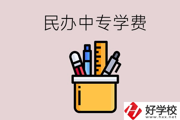 湘潭的民辦中專學(xué)校學(xué)費(fèi)多少錢一年？