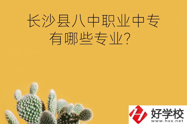 長(zhǎng)沙縣八中職業(yè)中專好不好？有哪些專業(yè)？