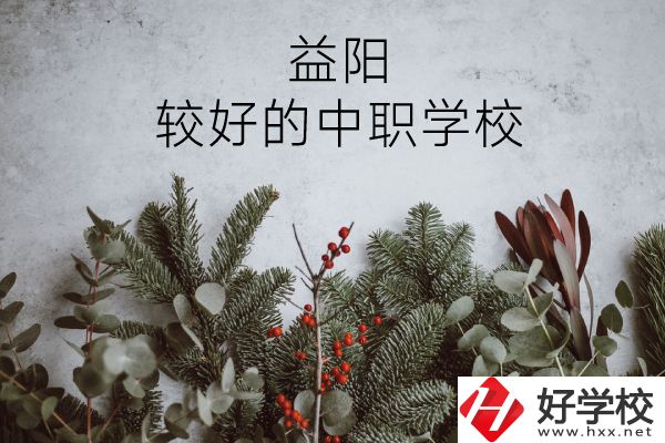 益陽有哪些中職學(xué)校比較好？