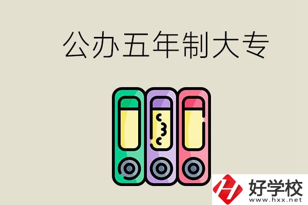 岳陽(yáng)有什么公辦的五年制大專學(xué)校？讀了有用嗎？