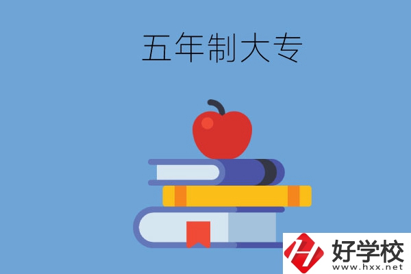 長沙開設(shè)教育類專業(yè)的五年制大專有哪些？