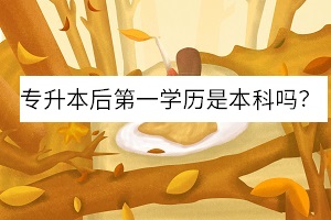 專升本考上后第一學(xué)歷是本科嗎