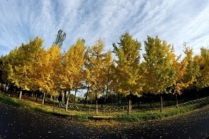 大專第三年才開始準(zhǔn)備普通專升本考試來得及嗎？該如何備考？