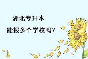 湖北專升本能報多個學(xué)習(xí)嗎？