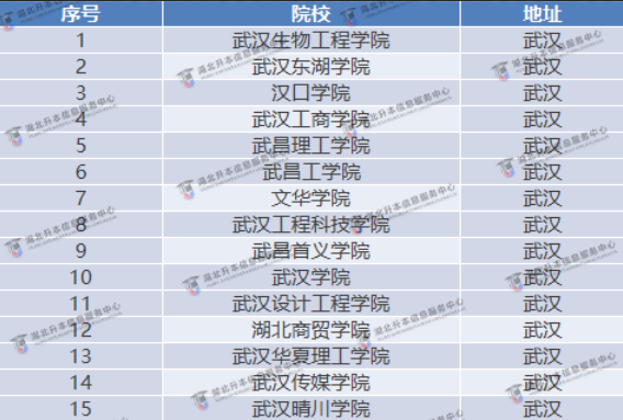 武漢市民辦招生院校