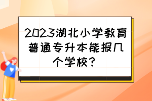 2023湖北小學教育普通專升本能報幾個學校？